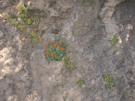 cliff face