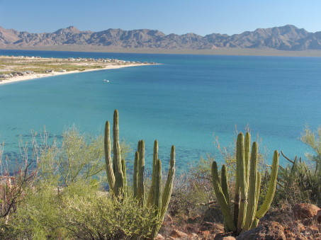 Playa Punta Arena