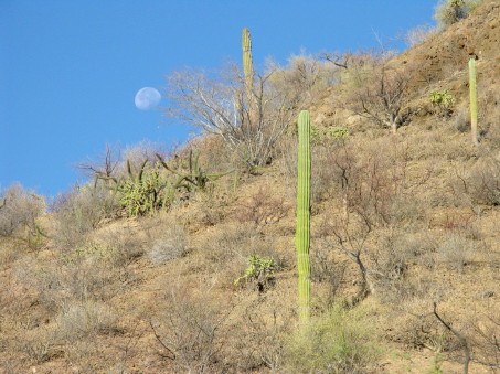 Rocky hillside
