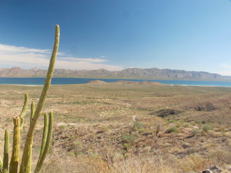 Cerro San Pedro