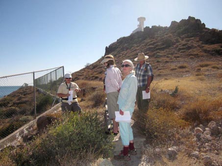 Plant walk on lighthouse promontory