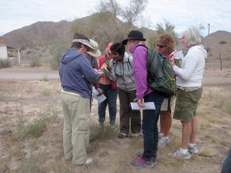 Plant walk in Mulege Valley