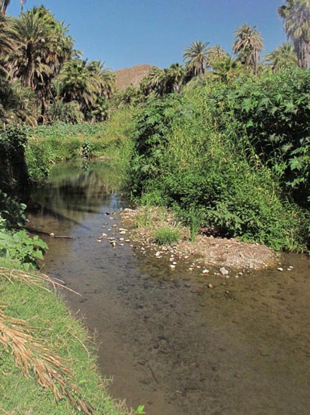 Mulege river