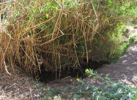 Source of Mulege River