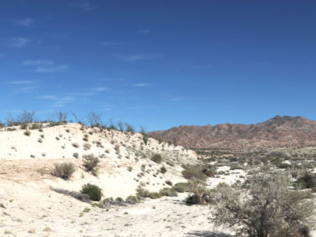 Sierra San Francisquito
