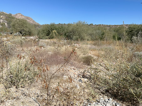 Mouth of the arroyo