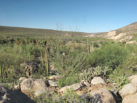 view of arroyo canyon