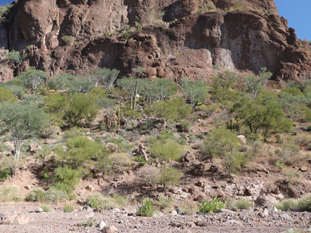 Sierra Guadalupe