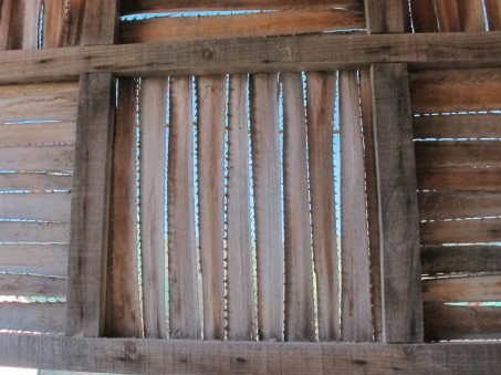 palm leaf shade