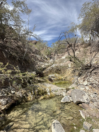 looking up the creek bed