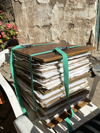plant press with newly collected specimens