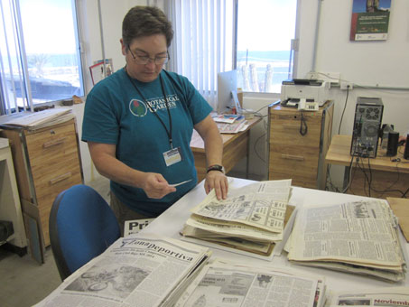 Working at the herbarium