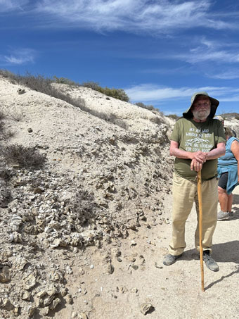 Ancient oysterbed