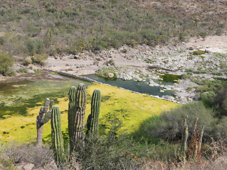 Vista de la pequeña presa en el arroyo