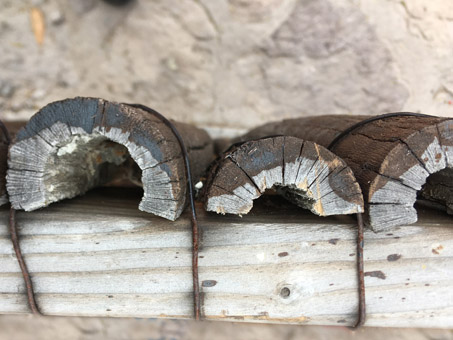 Primer plano de una valla hecha de tallos de cactus